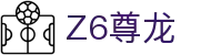 尊龙·Z6 (中国认证)集团有限公司官网